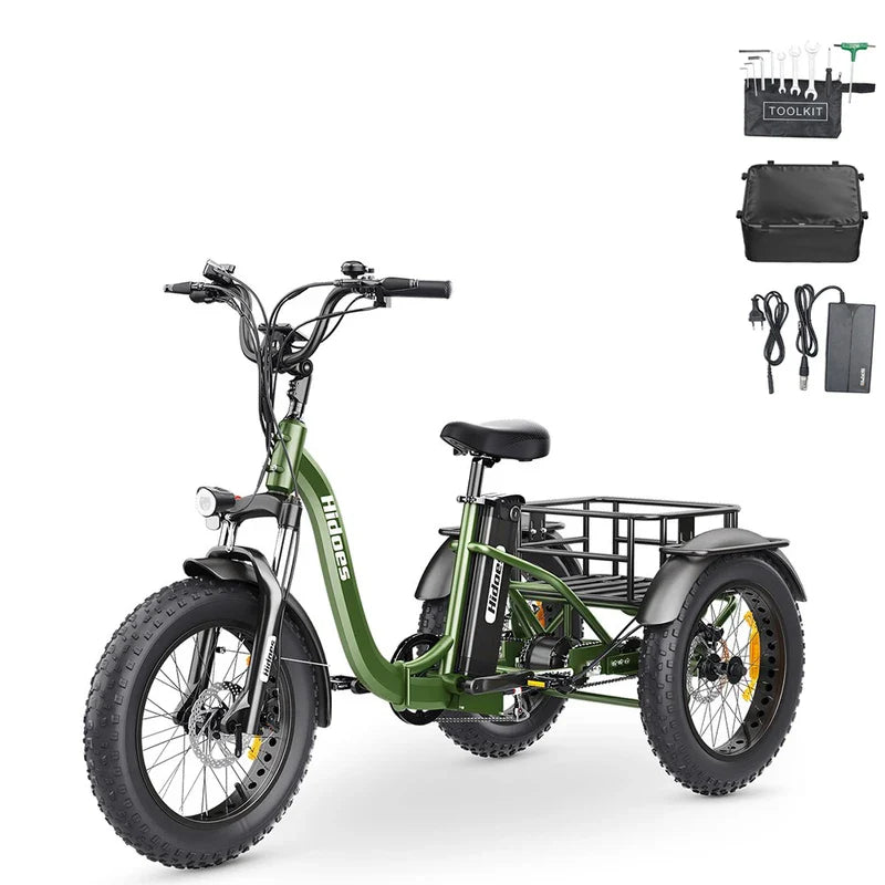 Hidoes HD-ET1 elektrinis dviratis triratis 750W