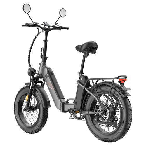 Fafrees FF20 Polar elektrinis dviratis, 500 W variklis, 48 V 24 Ah dvigubos baterijos