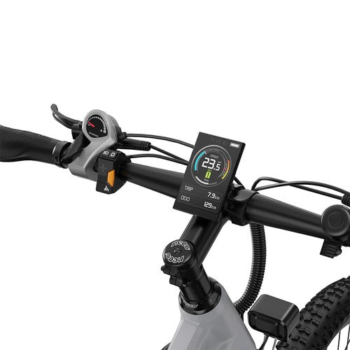 DUOTTS E29 Elektrinis Dviratis, Shimano Hidrauliniai Diskiniai Stabdžiai