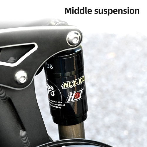 ENGWE Engine X sulankstomas elektrinis dviratis