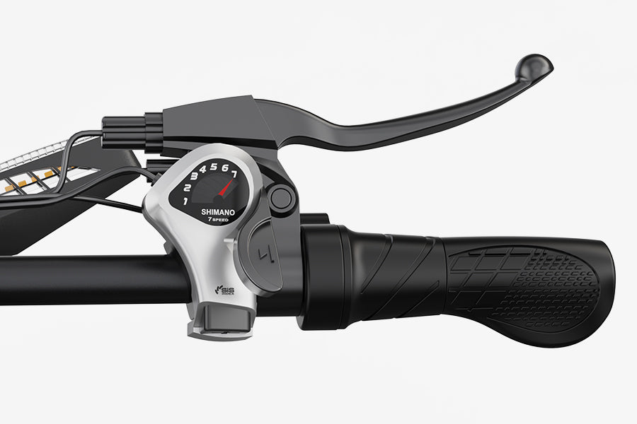 VARUN X-PLORER RAPTOR elektrinis dviratis 48V 20.8A