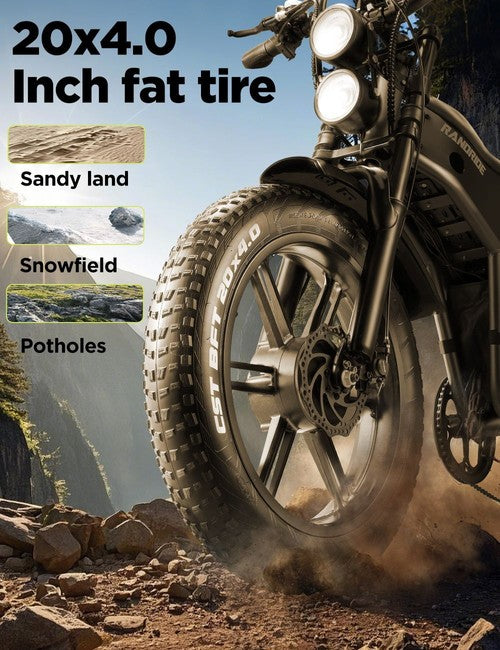 RANDRIDE DM711 elektrinis dviratis, 1000 W * 2 variklis, 48 V 20 Ah