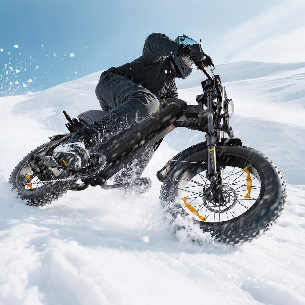 VARUN X-PLORER RAPTOR elektrinis dviratis 48V 20.8A