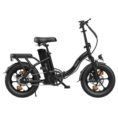 ESKUTE D100 elektrinis dviratis 36V13Ah