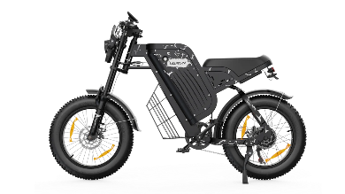 VARUN X-PLORER RAPTOR elektrinis dviratis 48V 20.8A