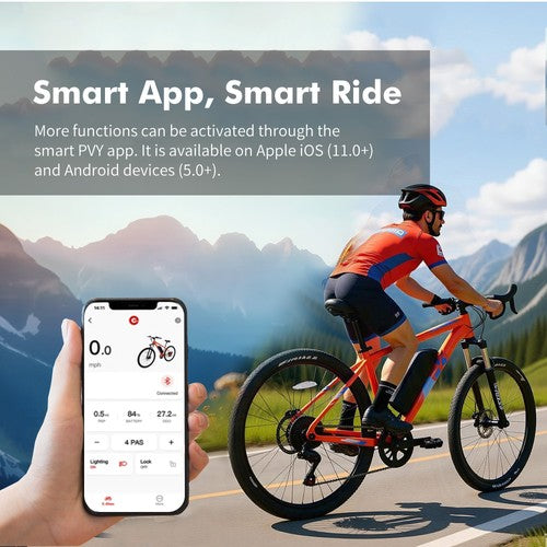 PVY M29 elektrinis dviratis 250W variklis 48V 17,5Ah