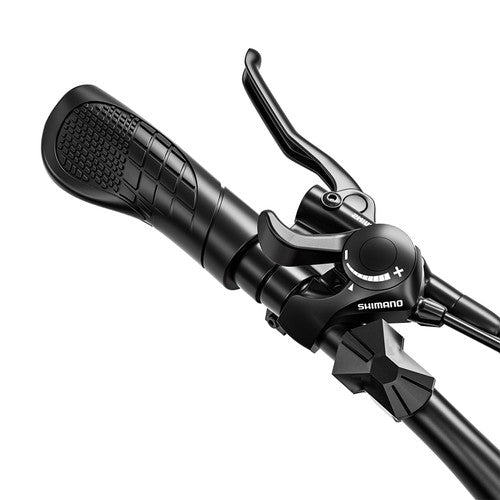 RANDRIDE YG90B elektrinis dviratis 1000W variklis 45km/h