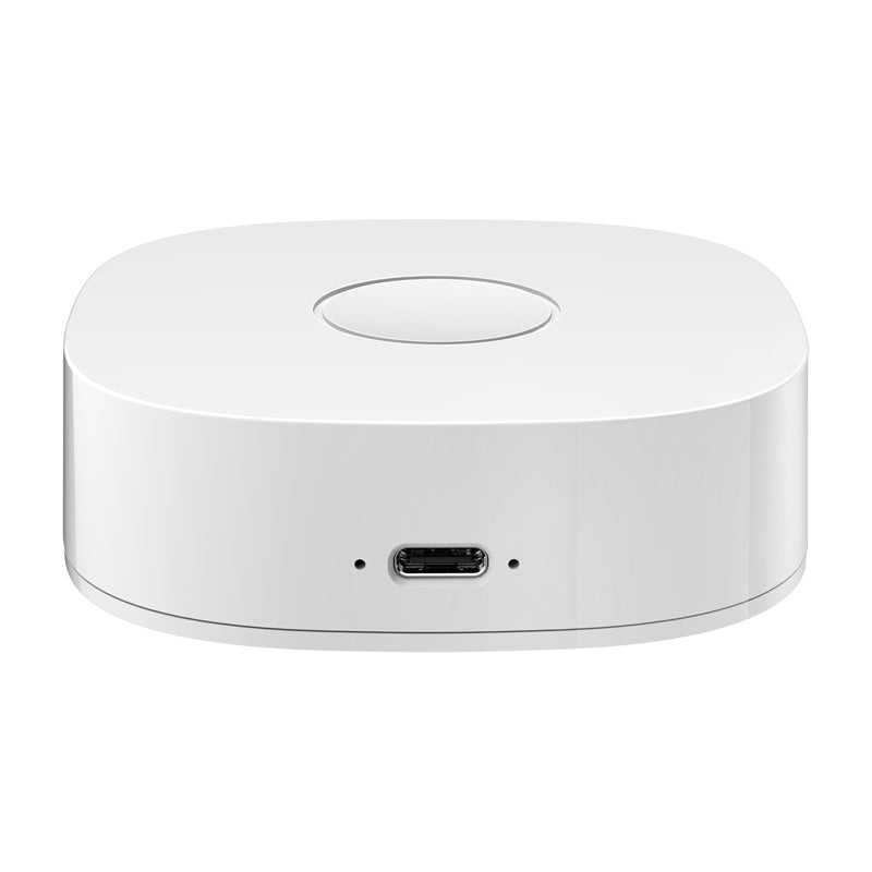 Smart home WS2GW-R WiFi