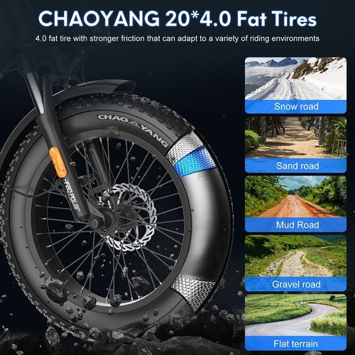 Fafrees FF20 Polar Elektrinis Dviratis, 500W Variklis, 48V 26.8Ah