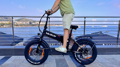 VARUN S20-1 elektrinis dviratis 250W