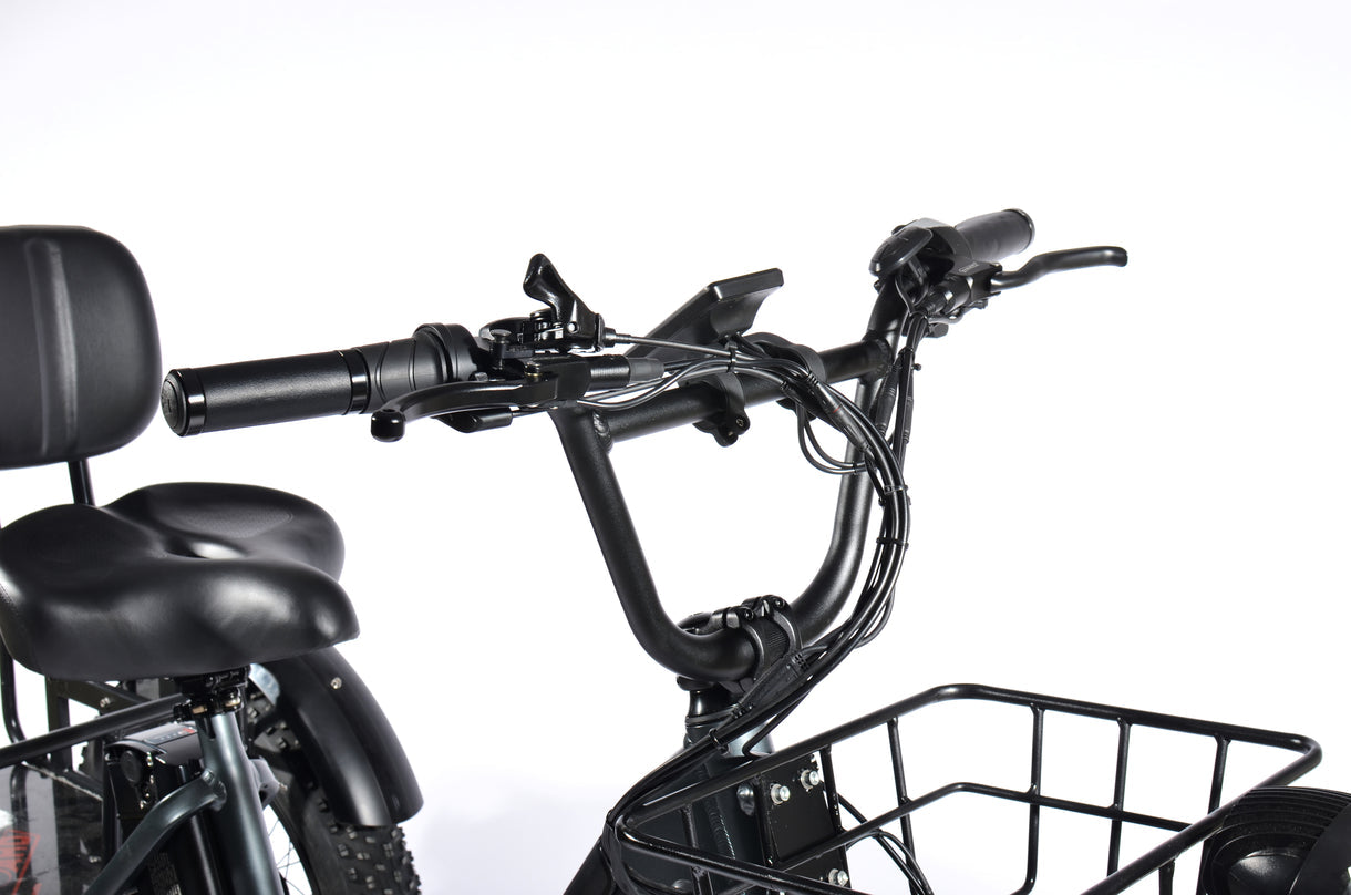 PULUMA SL001 elektrinis triratis 27Ah 500W *2x