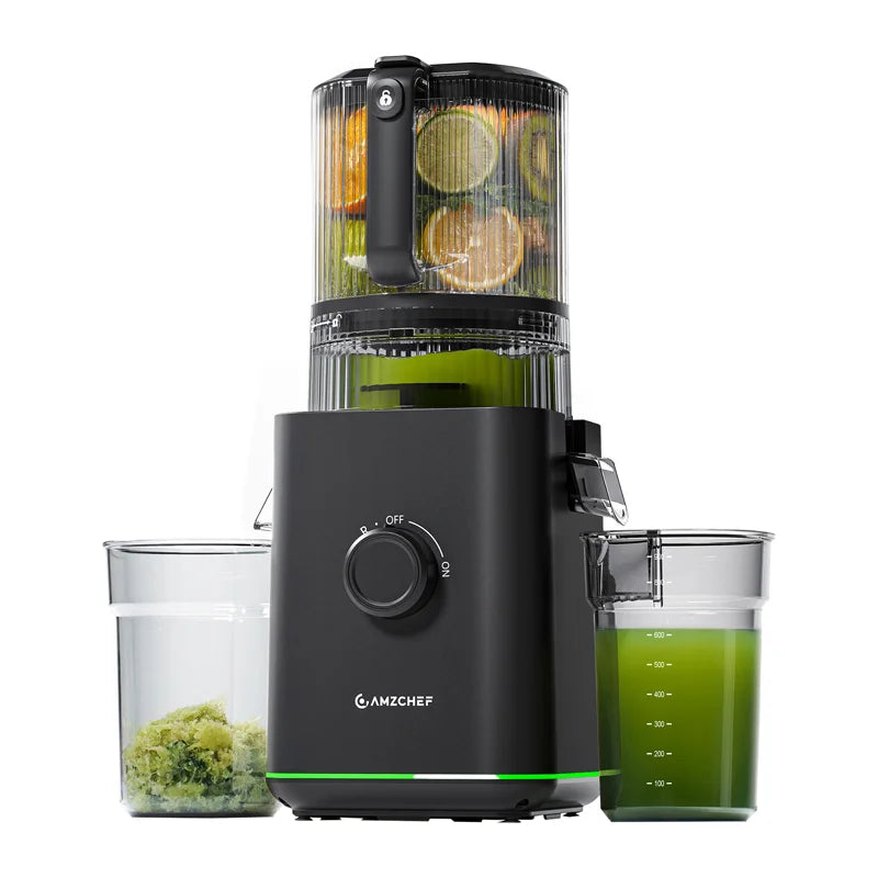 AMZCHEF CE-ZM1919 Slow Juicer (Black)