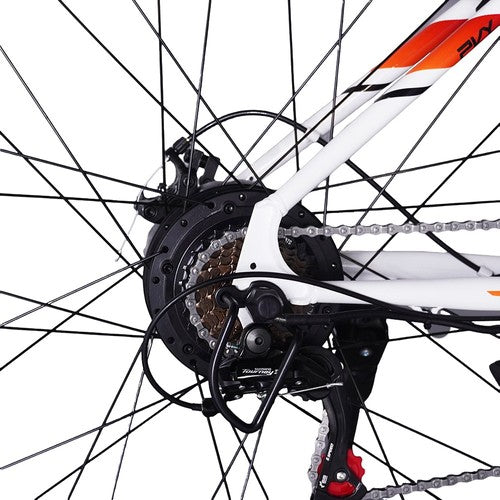 PVY M29 elektrinis dviratis 250W variklis 48V 17,5Ah