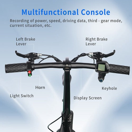 TWOFISH M5 Elite elektrinis paspirtukas 500 W variklis, 48V13Ah