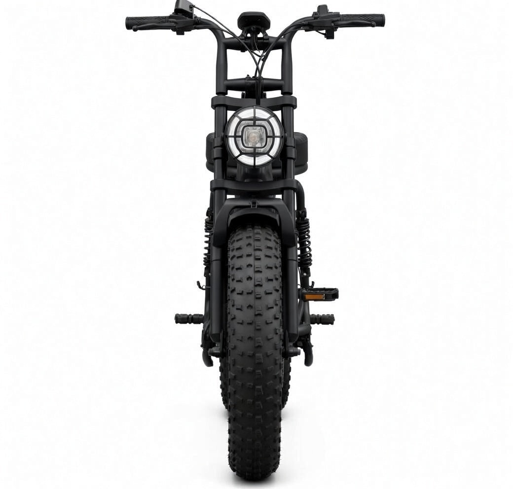 SAIBAIKE R7 elektrinis dviratis 750W
