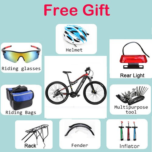 RANDRIDE YG90B-29 elektrinis dviratis 1000W variklis 48V17Ah