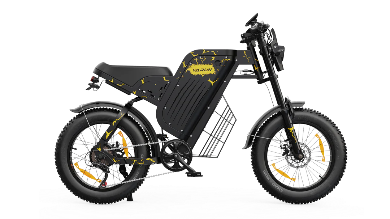 VARUN X-PLORER RAPTOR elektrinis dviratis 48V 20.8A