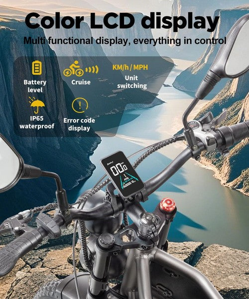 RANDRIDE DM711 elektrinis dviratis, 1000 W * 2 variklis, 48 V 20 Ah