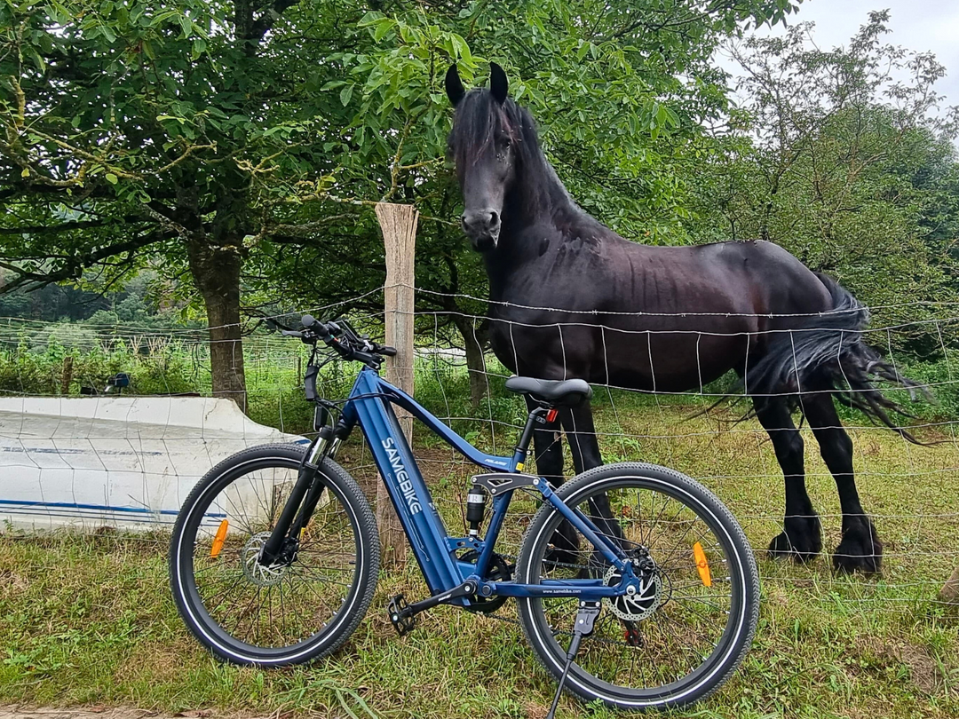 Samebike XD26-II Elektrinis Dviratis