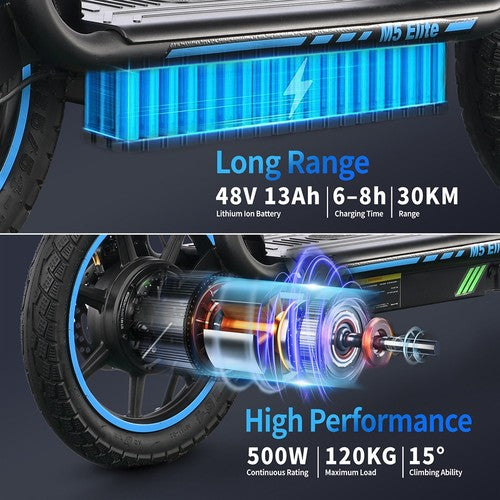 TWOFISH M5 Elite elektrinis paspirtukas 500 W variklis, 48V13Ah