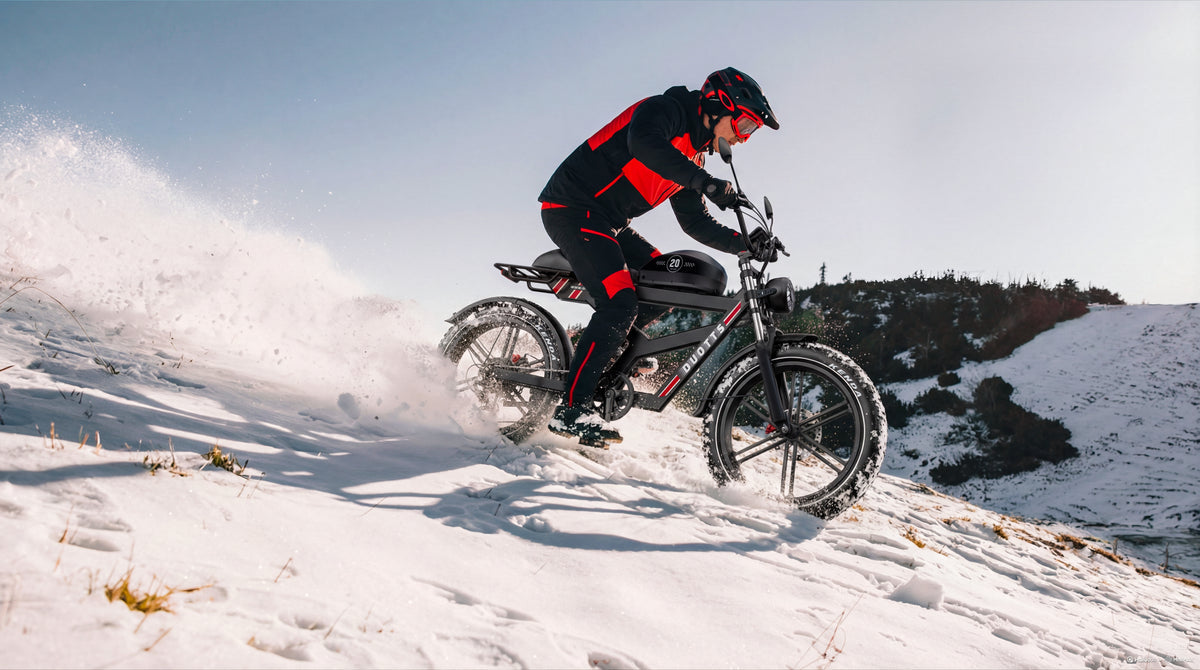 DUOTTS F20 Elektrinis Dviratis 27Ah 750W