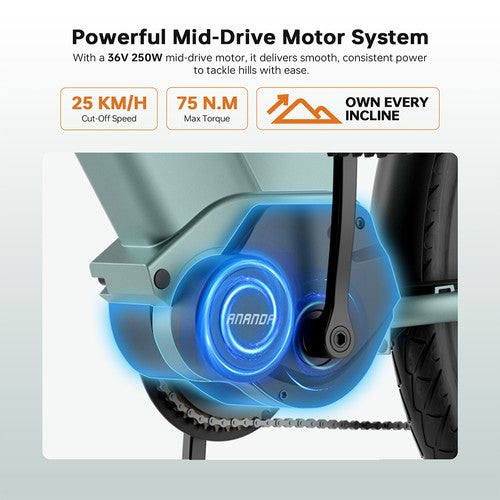 Foride Urbano 1 elektrinis dviratis, 250 W, 36 V 13 Ah