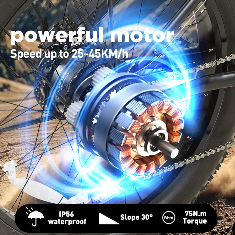 Burchda RX02 elektrinis dviratis 1000W