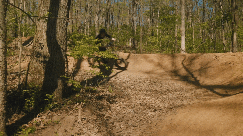 PVY Z20 Plus 1000W elektrinis dviratis 48V 16.5Ah