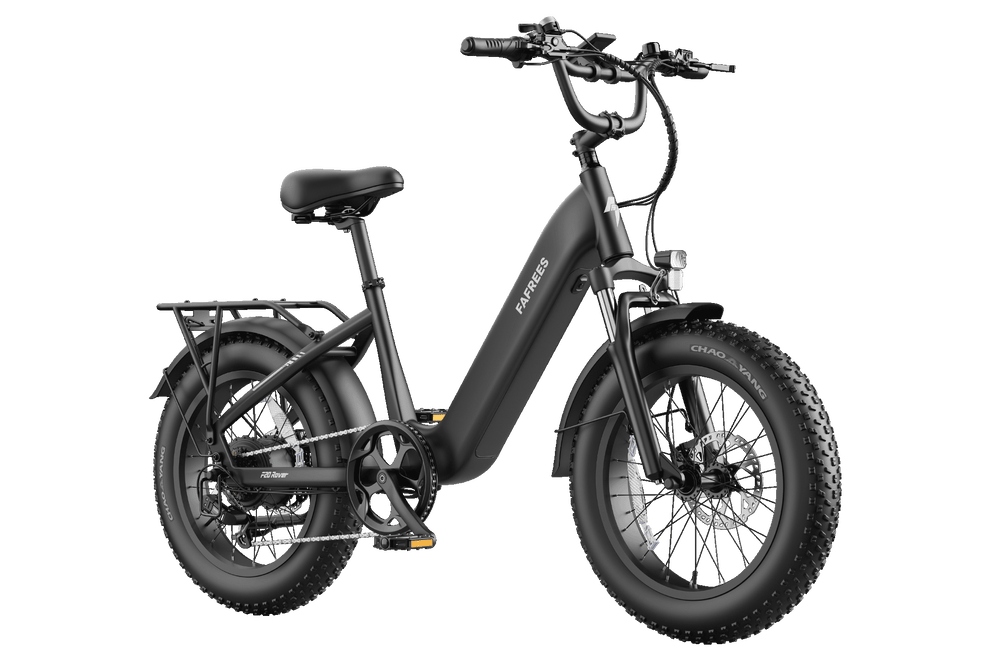 FAFREES F20 Rover elektrinis dviratis 250W