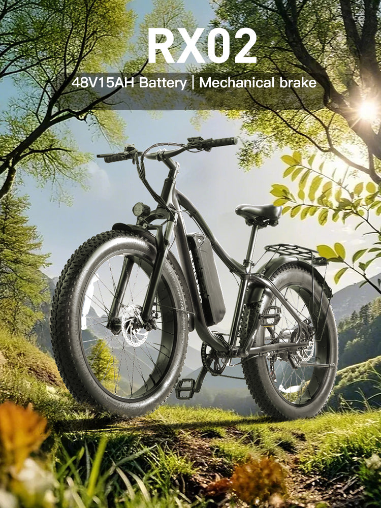 Burchda RX02 elektrinis dviratis 1000W