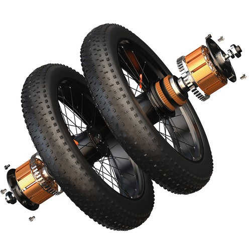 FENGQS H6PRO elektrinis dviratis 1000W * 2 variklis 52V 17,5Ah