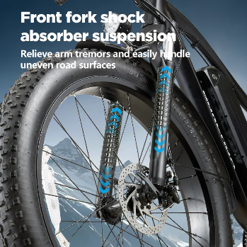 Burchda RX02 elektrinis dviratis 1000W